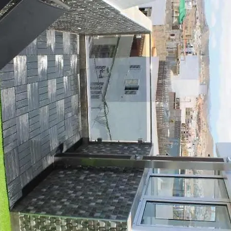 Moguel Canarian 2º *